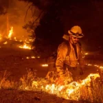 fireman fighting fire